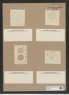 Coscinodiscus subconcavus Grun. (de-Toni-Nr.: Genus 202, Species 4885) Zeichnungen Sammlung Grunow Nr. 8644 (NHMW-BOT-W0378044)